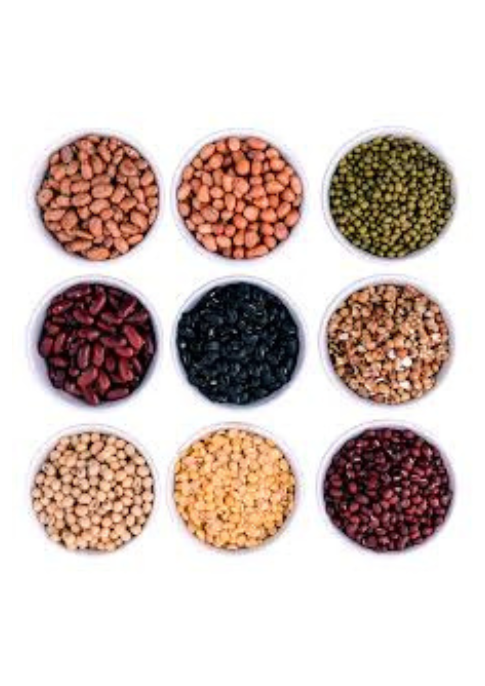 Pulses & Lentils